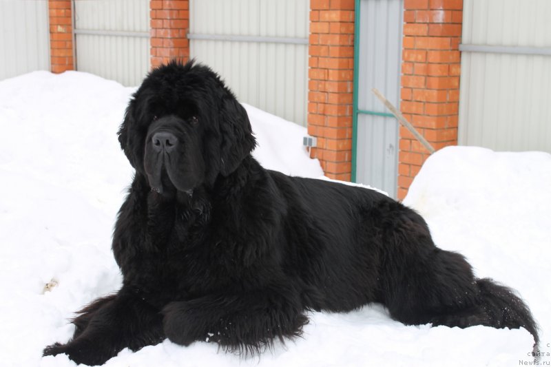 Фотография № 120726