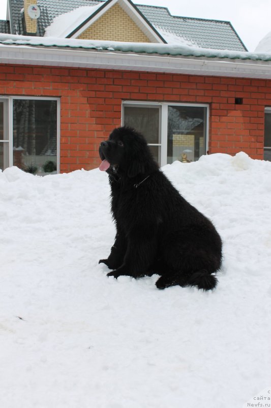 Фотография № 120727