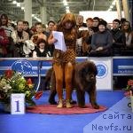 Фотография № 120738