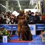 Фотография № 120740