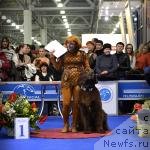 Фотография № 120741