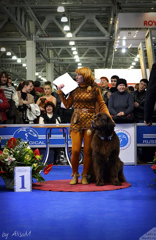 Фотография № 120742