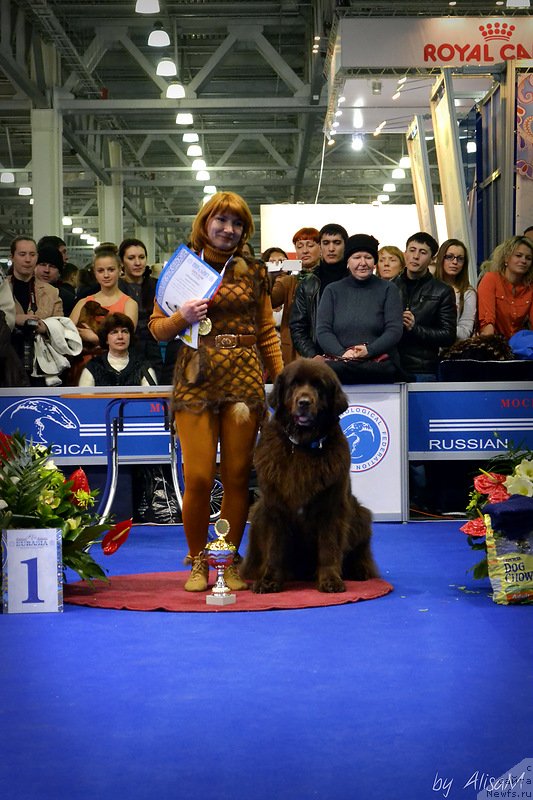 Фотография № 120747