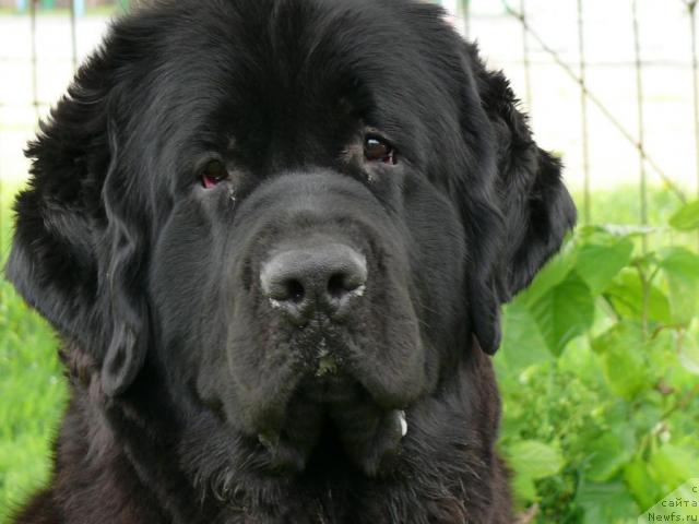 Фотография № 12080