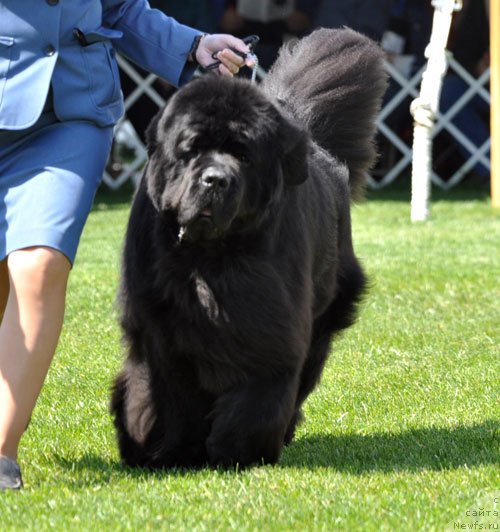 Фотография № 120801