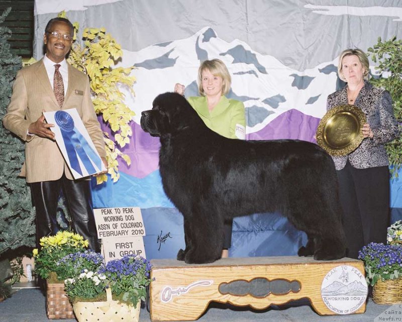 Фото: Raincoast Partner of Dreams