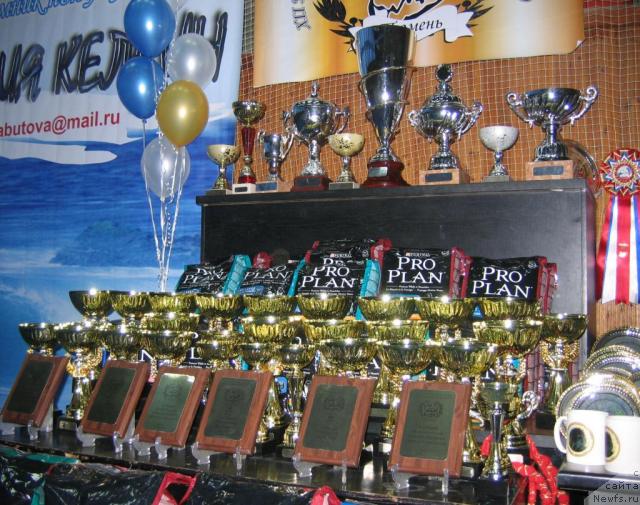 Фотография № 12087