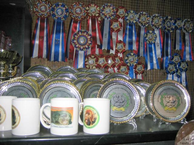 Фотография № 12088