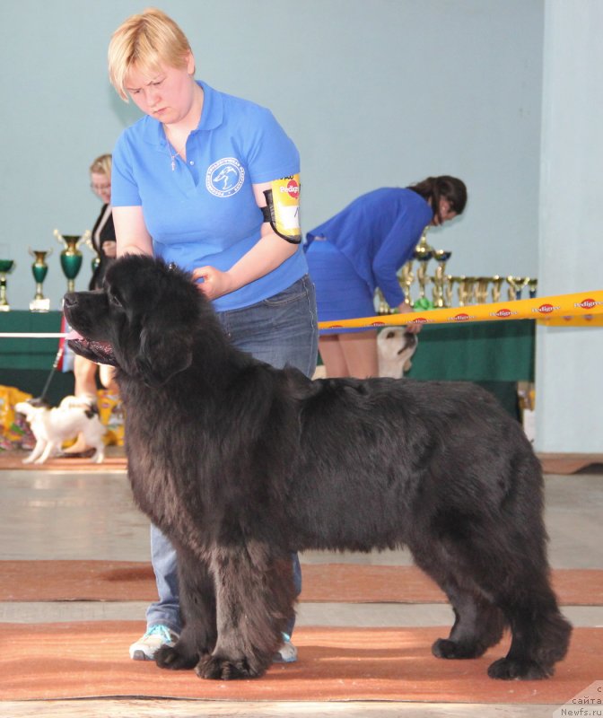 Фотография № 120889