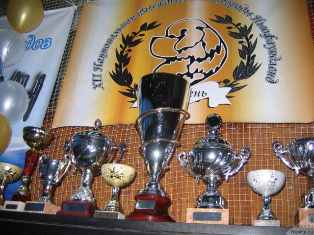 Фотография № 12089