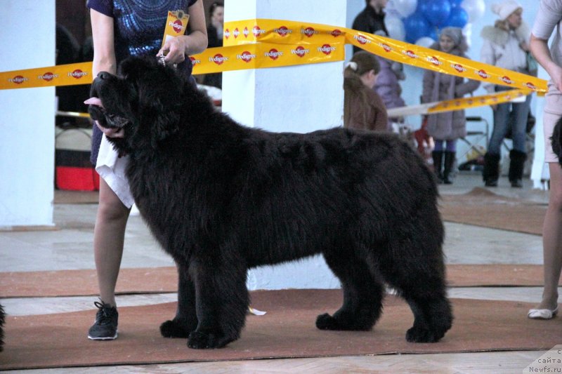 Фотография № 120905