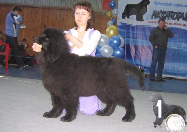 Фотография № 12091