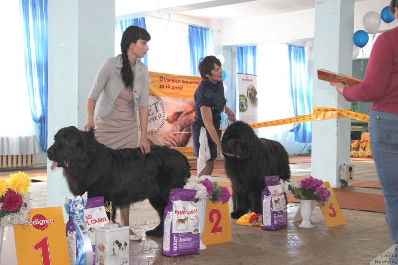 Фотография № 120911