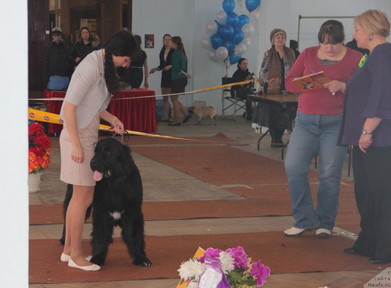 Фотография № 120914