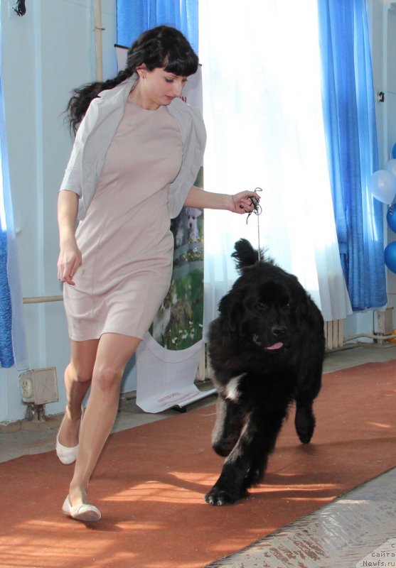 Фотография № 120916