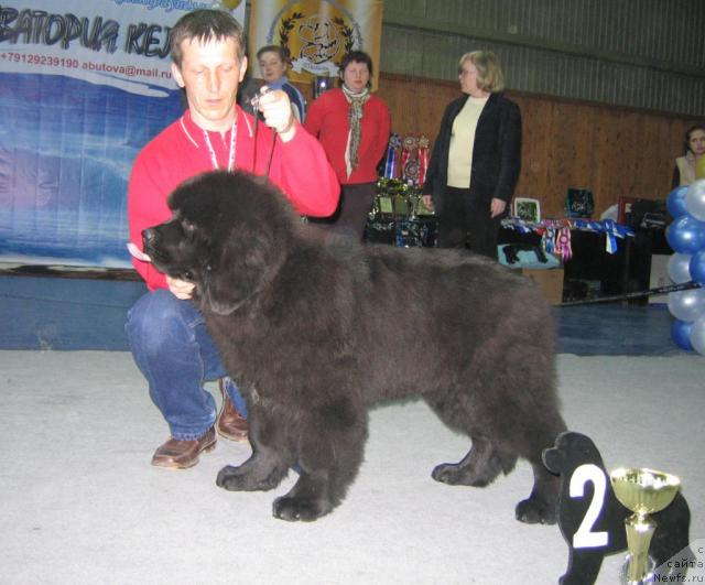 Фотография № 12092