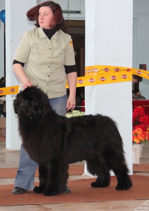 Фотография № 120926