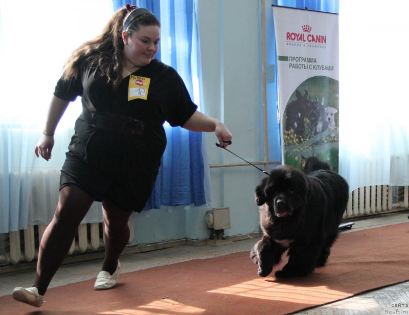 Фотография № 120928