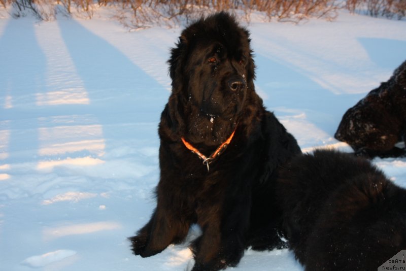 Фотография № 120929