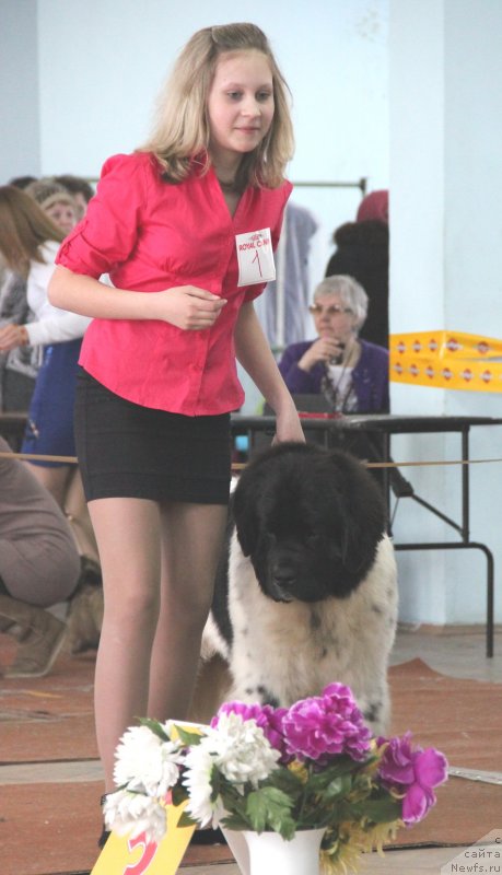 Фотография № 120932