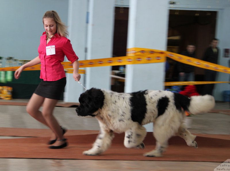 Фотография № 120938