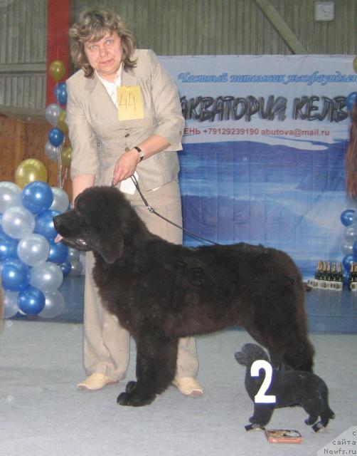 Фотография № 12094