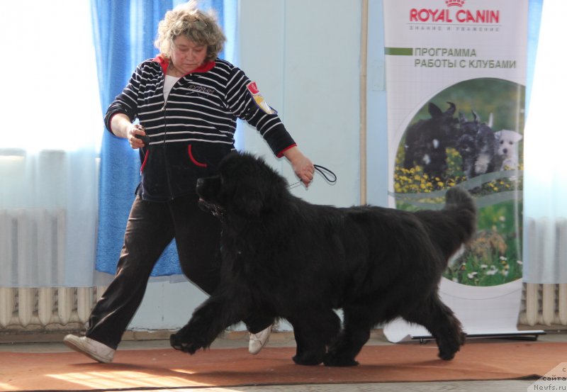 Фотография № 120941