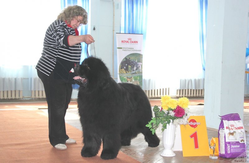 Фотография № 120943