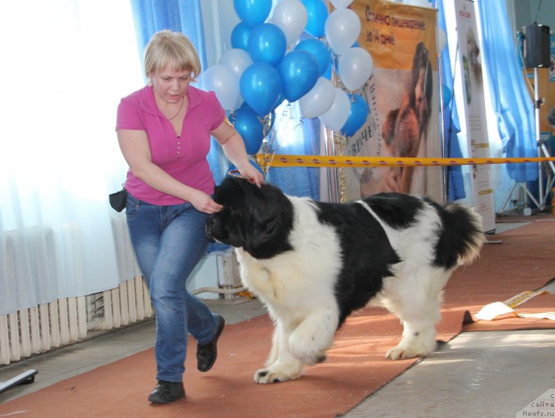 Фотография № 120944