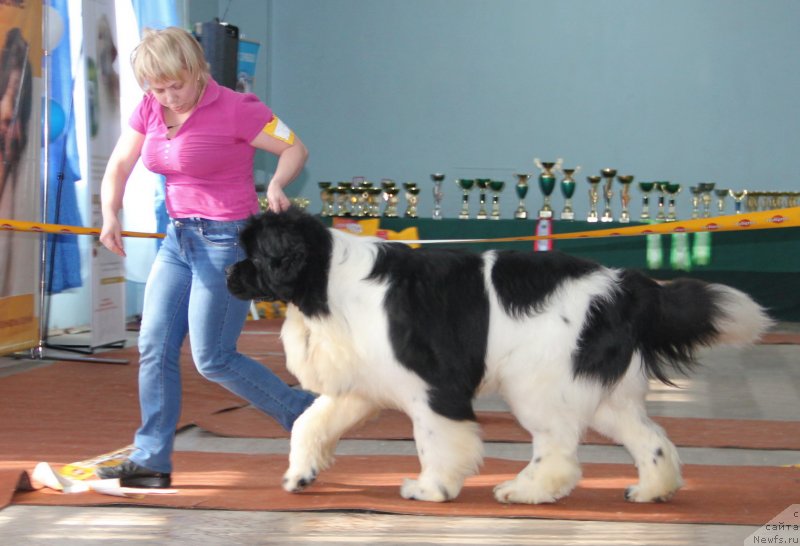 Фотография № 120945