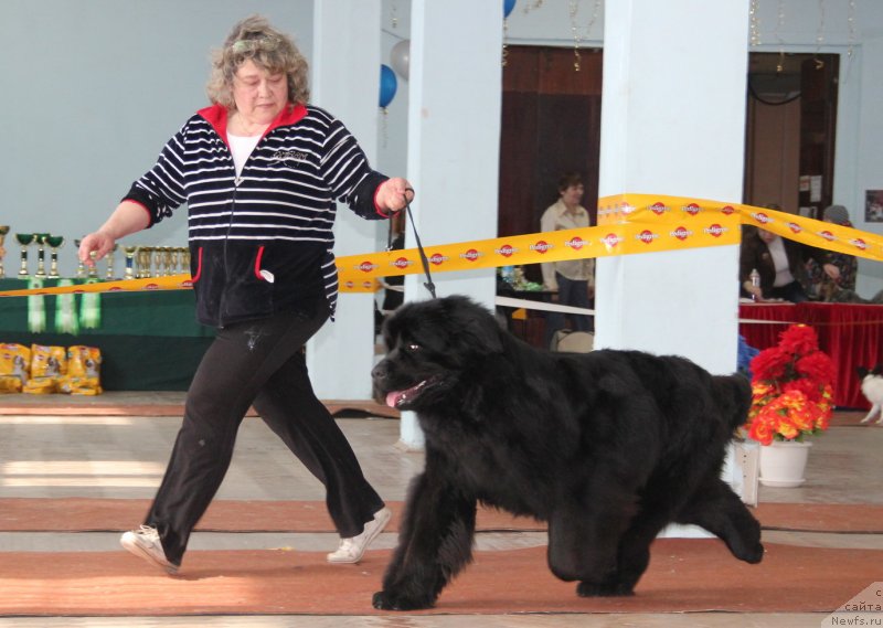 Фотография № 120946