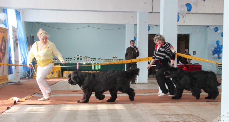 Фотография № 120948