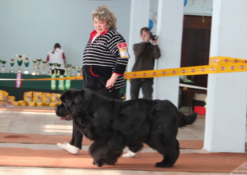 Фотография № 120949