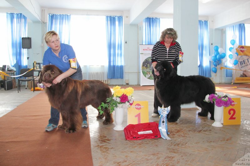 Фотография № 120951