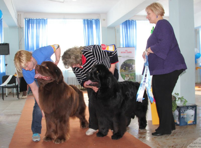 Фотография № 120952