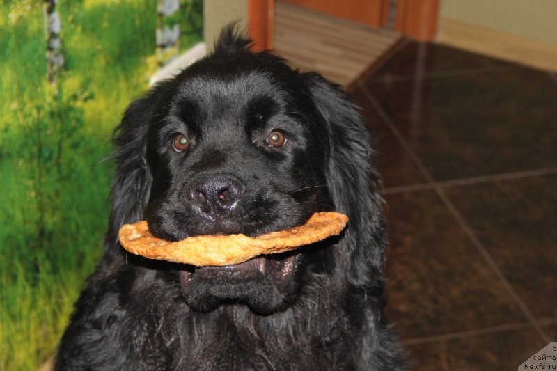 Фото: Vyacheslav Serebryakov (Вячеслав Серебряков)