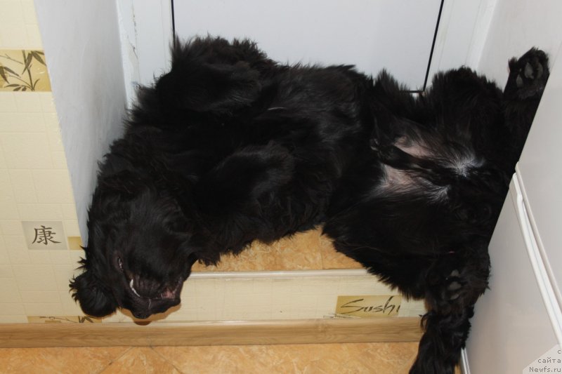 Фото: Vyacheslav Serebryakov (Вячеслав Серебряков)