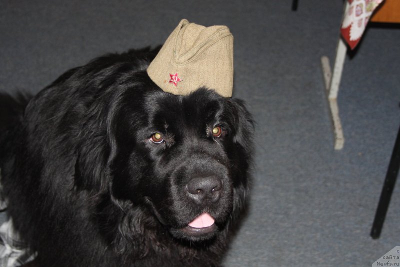 Фото: Vyacheslav Serebryakov (Вячеслав Серебряков)