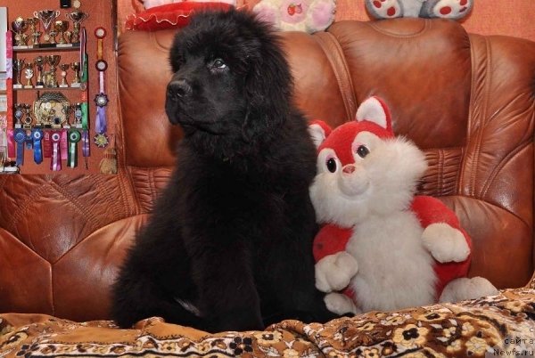 Фото: Vyacheslav Serebryakov (Вячеслав Серебряков)