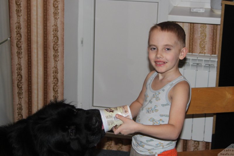 Фото: Vyacheslav Serebryakov (Вячеслав Серебряков)