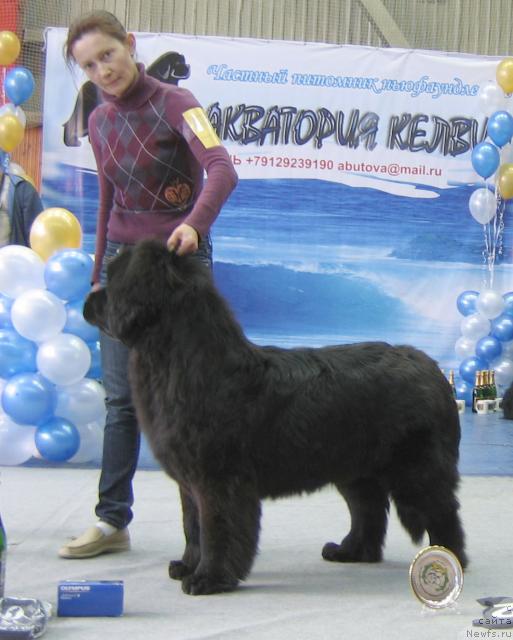 Фотография № 12100