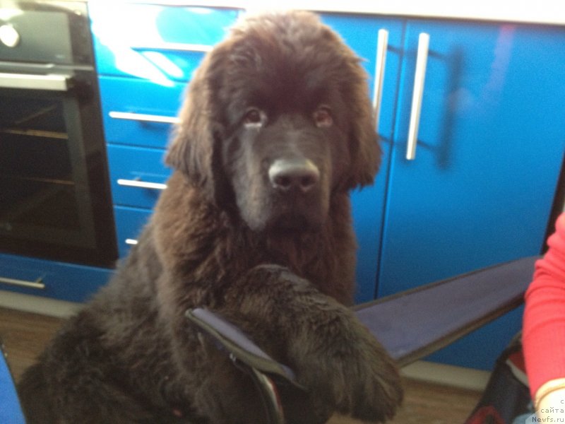 Фотография № 121000