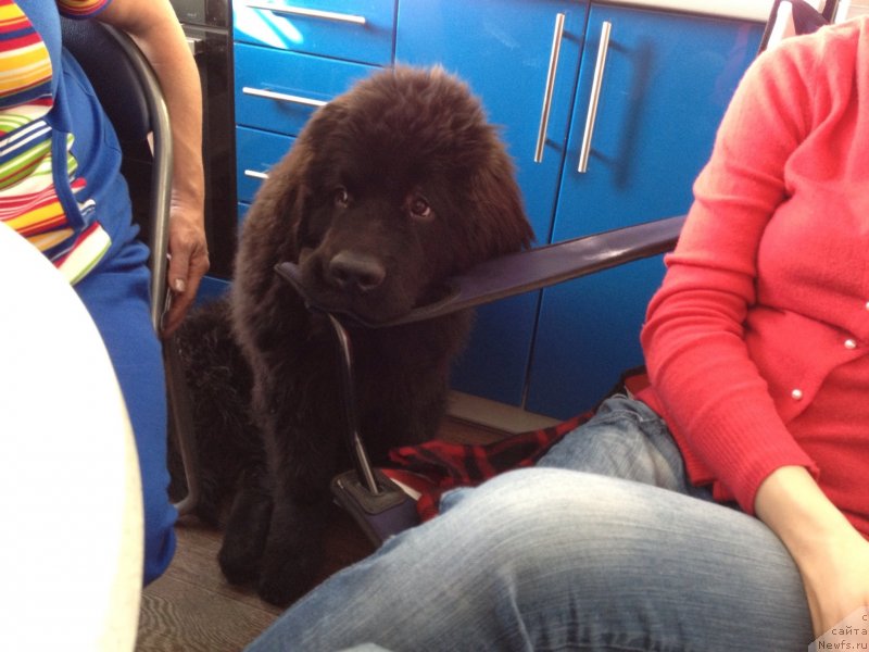 Фотография № 121001