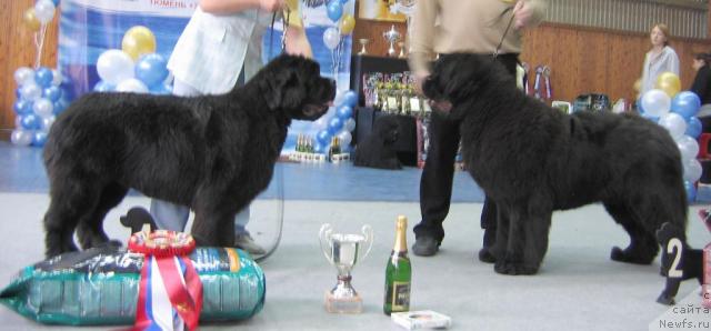 Фотография № 12101