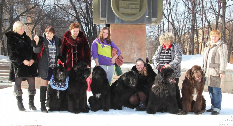 Фотография № 121015