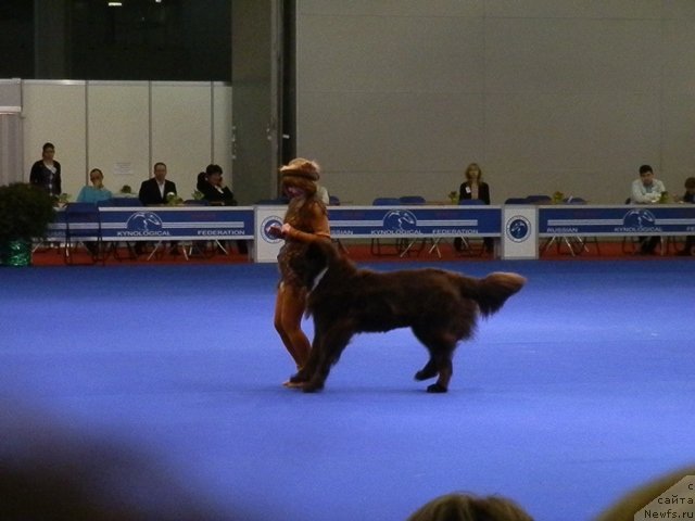 Фотография № 121021