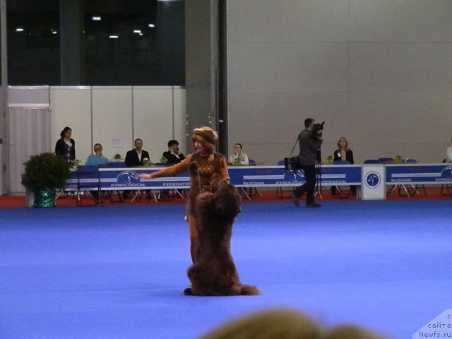 Фотография № 121022