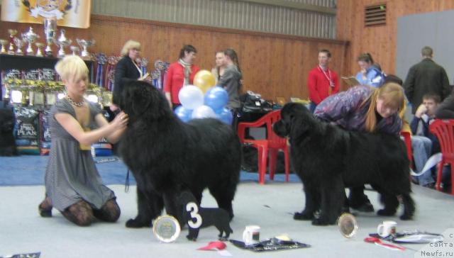 Фотография № 12103