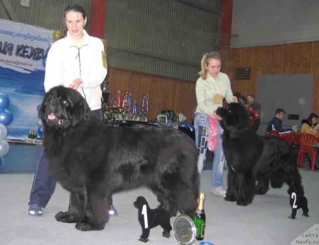 Фотография № 12105