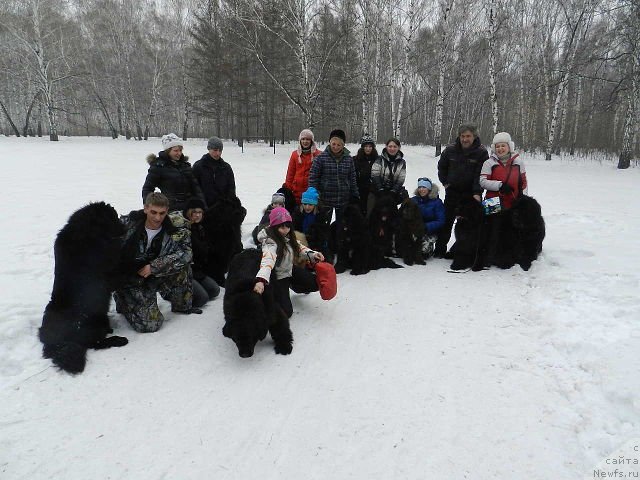 Фотография № 121052